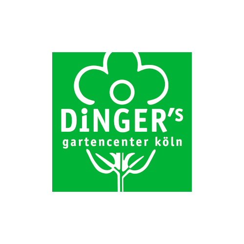 Logo Dinger